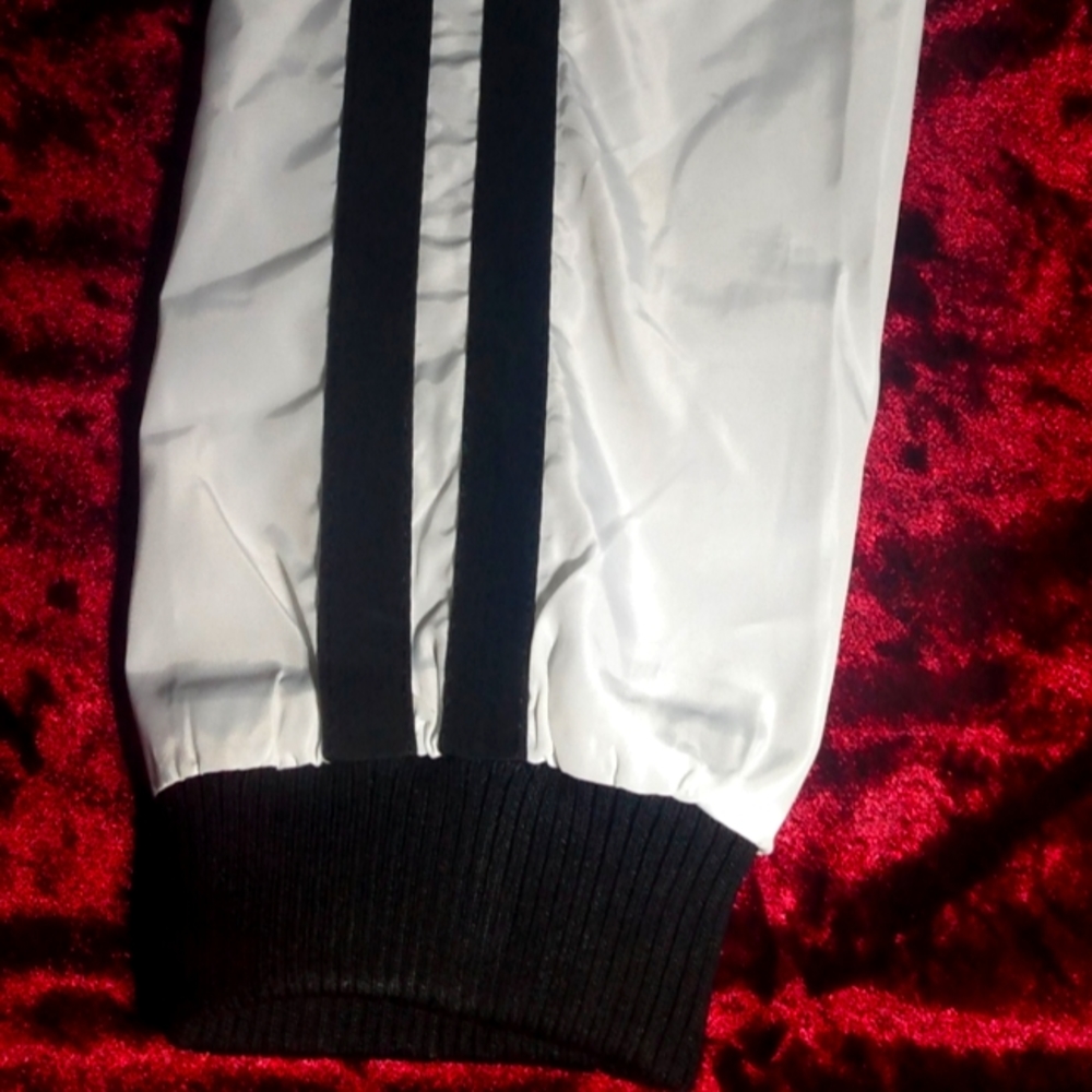 Windbreaker - Picture 5 of 6